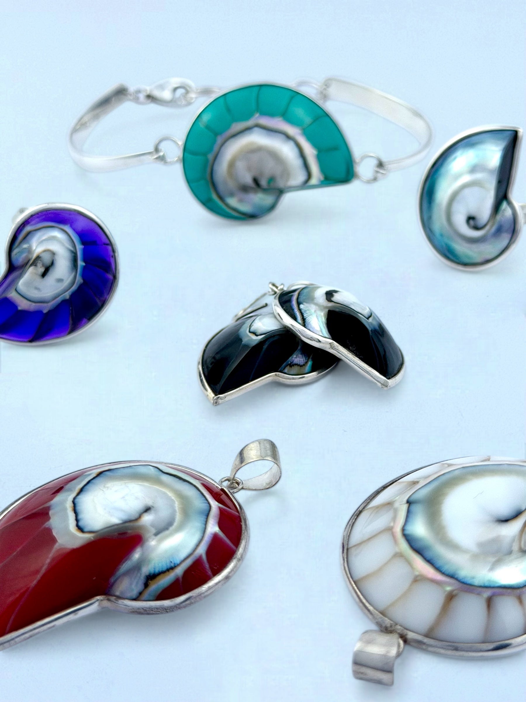 Nautilus shells