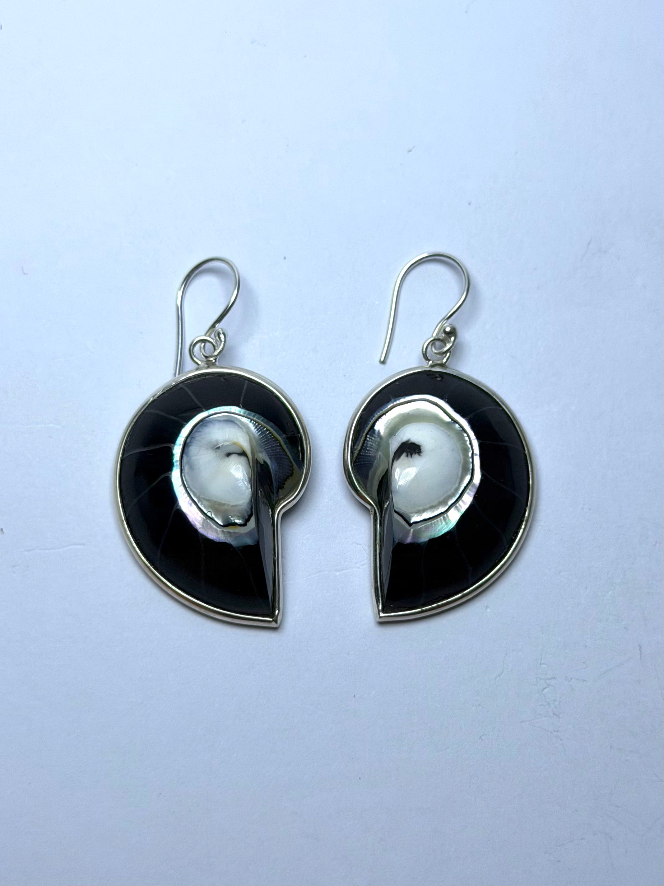 Shell Black Earrings
