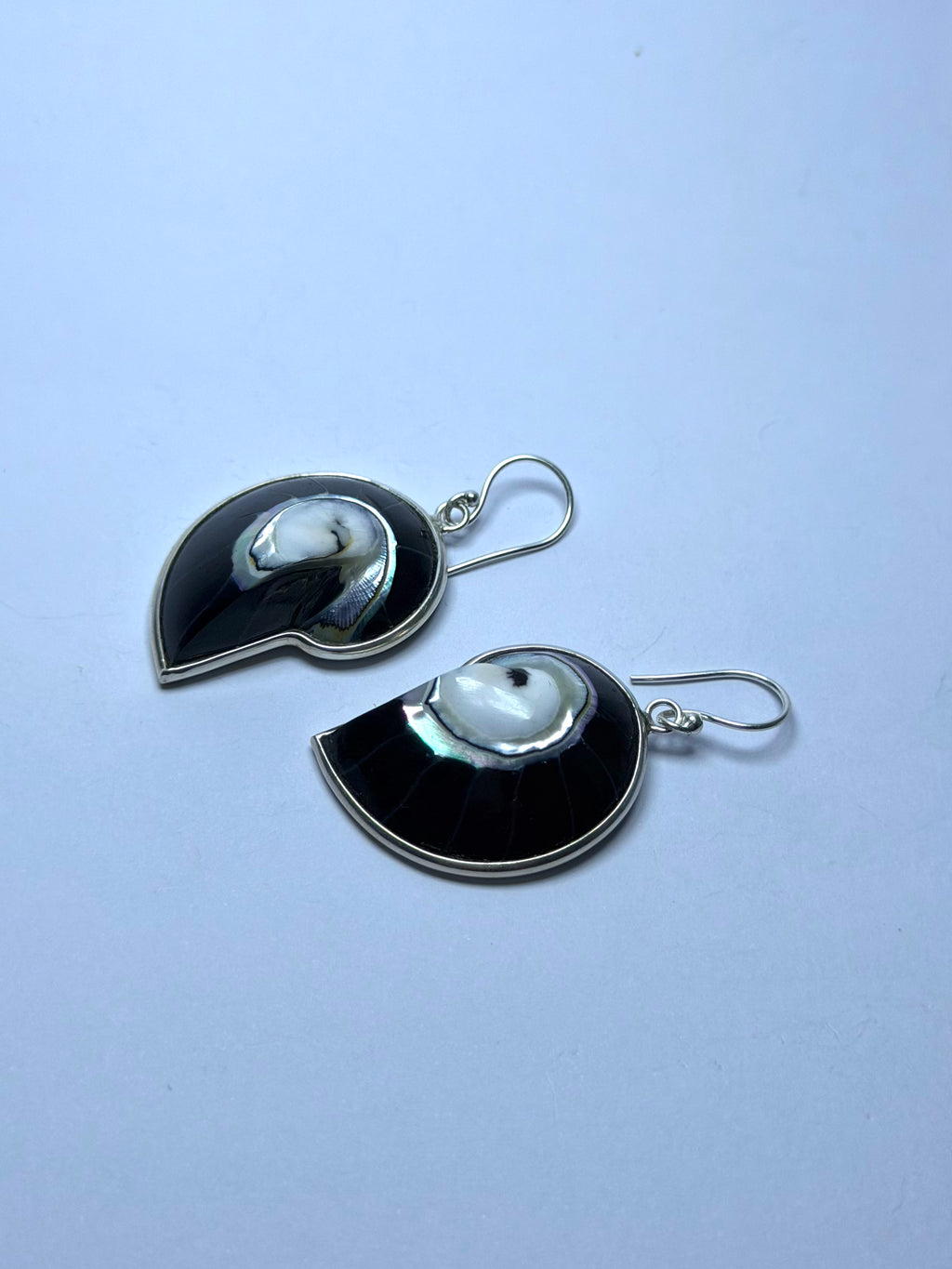 Shell Black Earrings