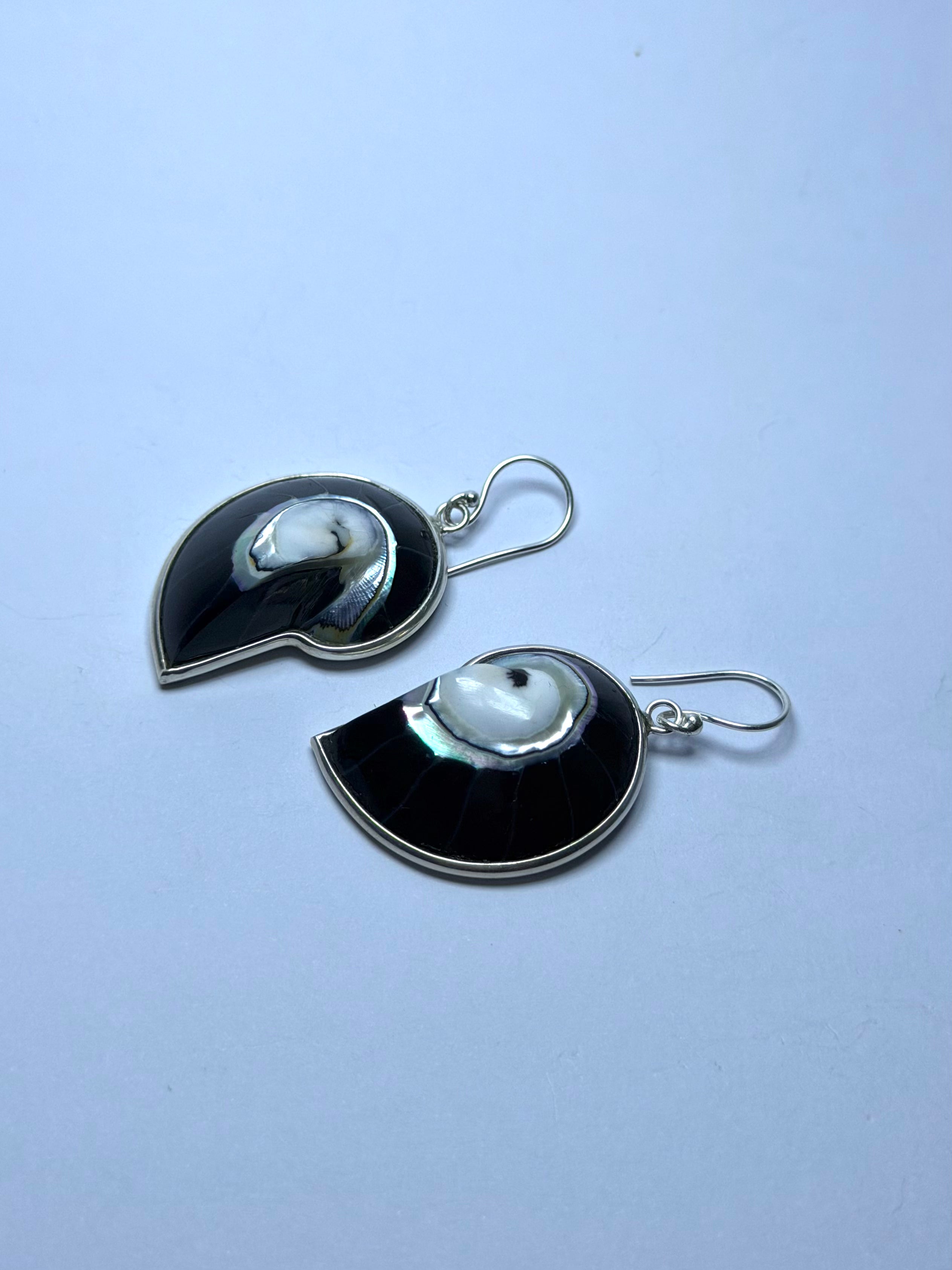 Shell Black Earrings