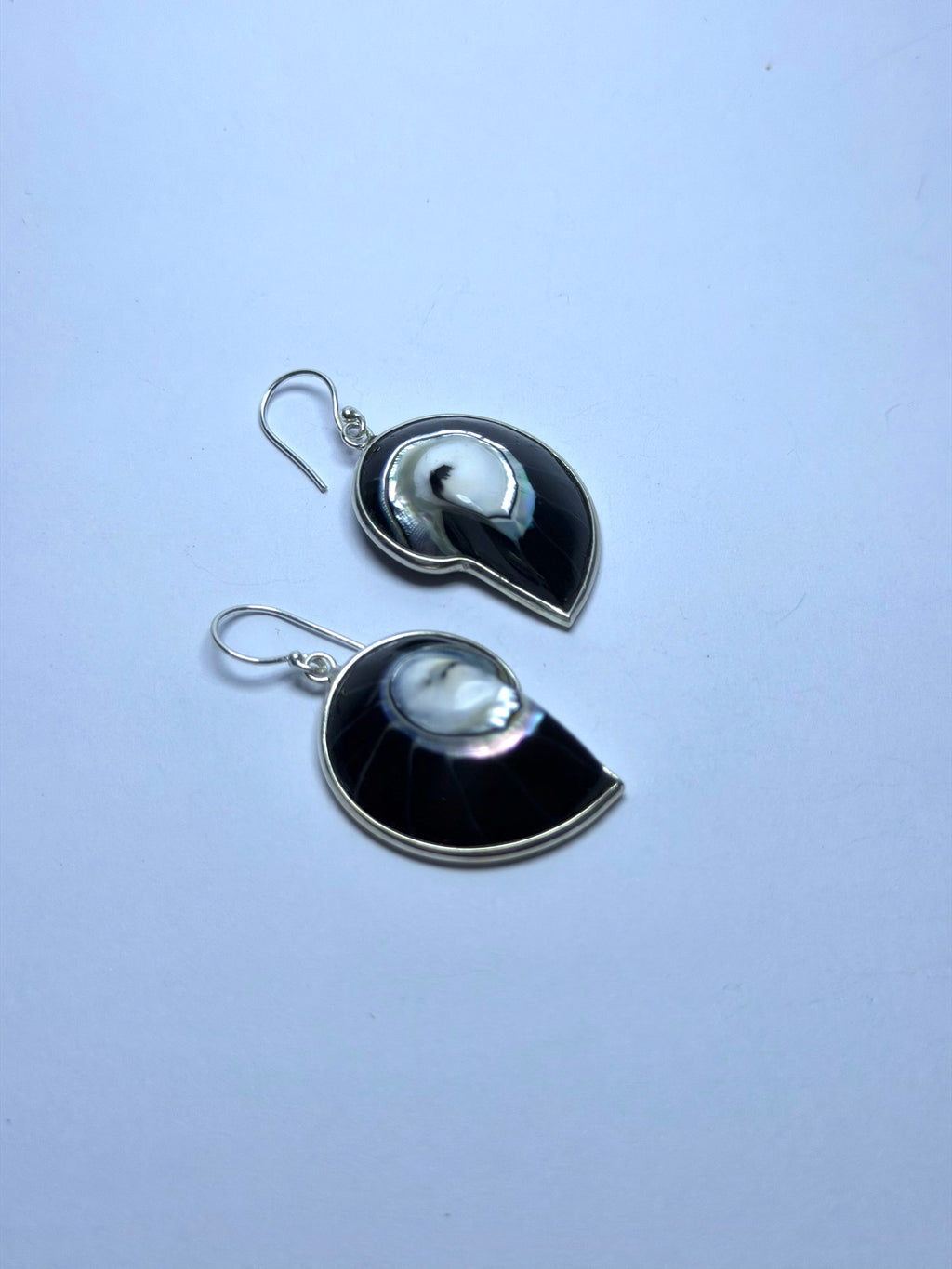 Shell Black Earrings