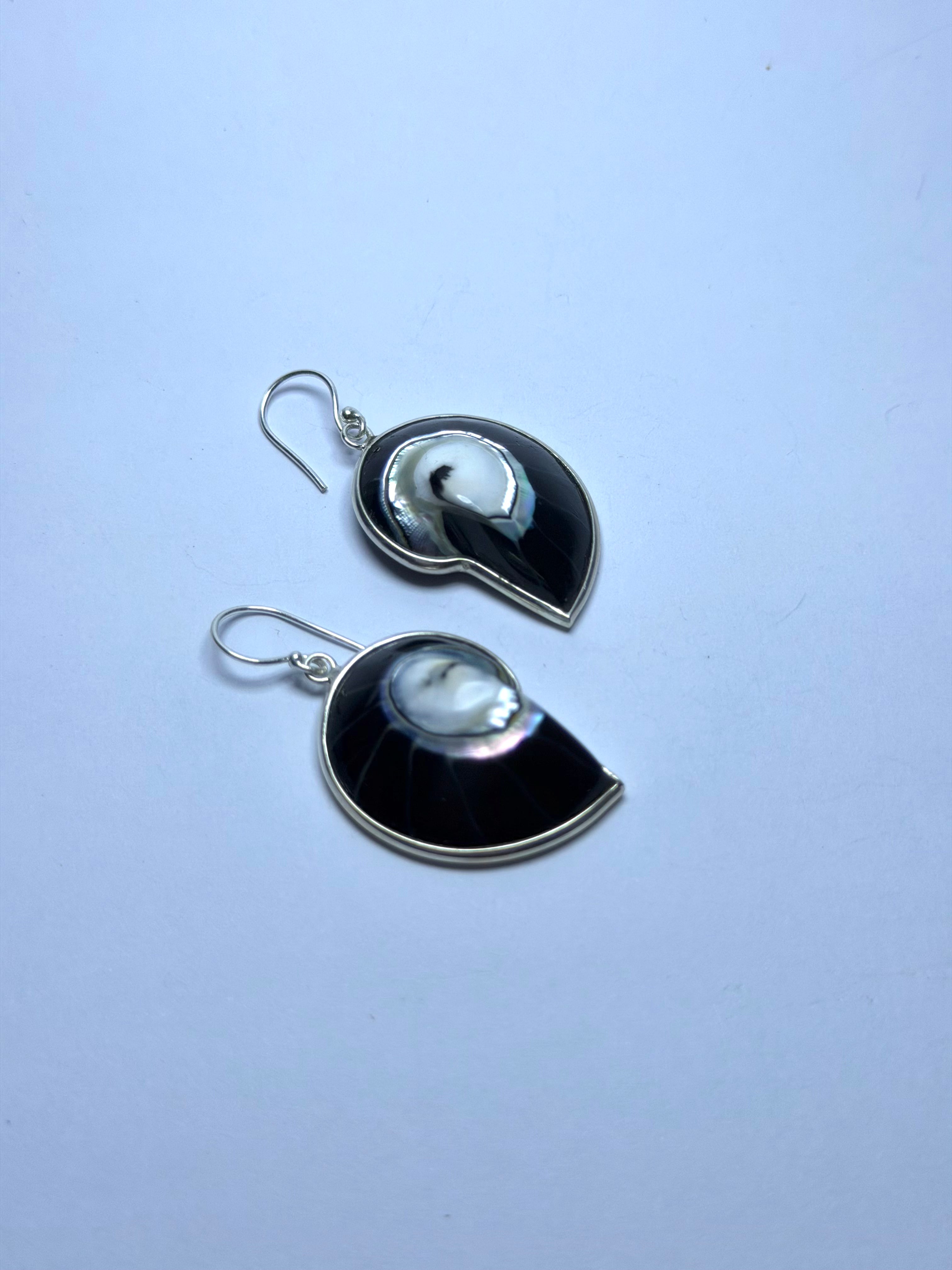Shell Black Earrings
