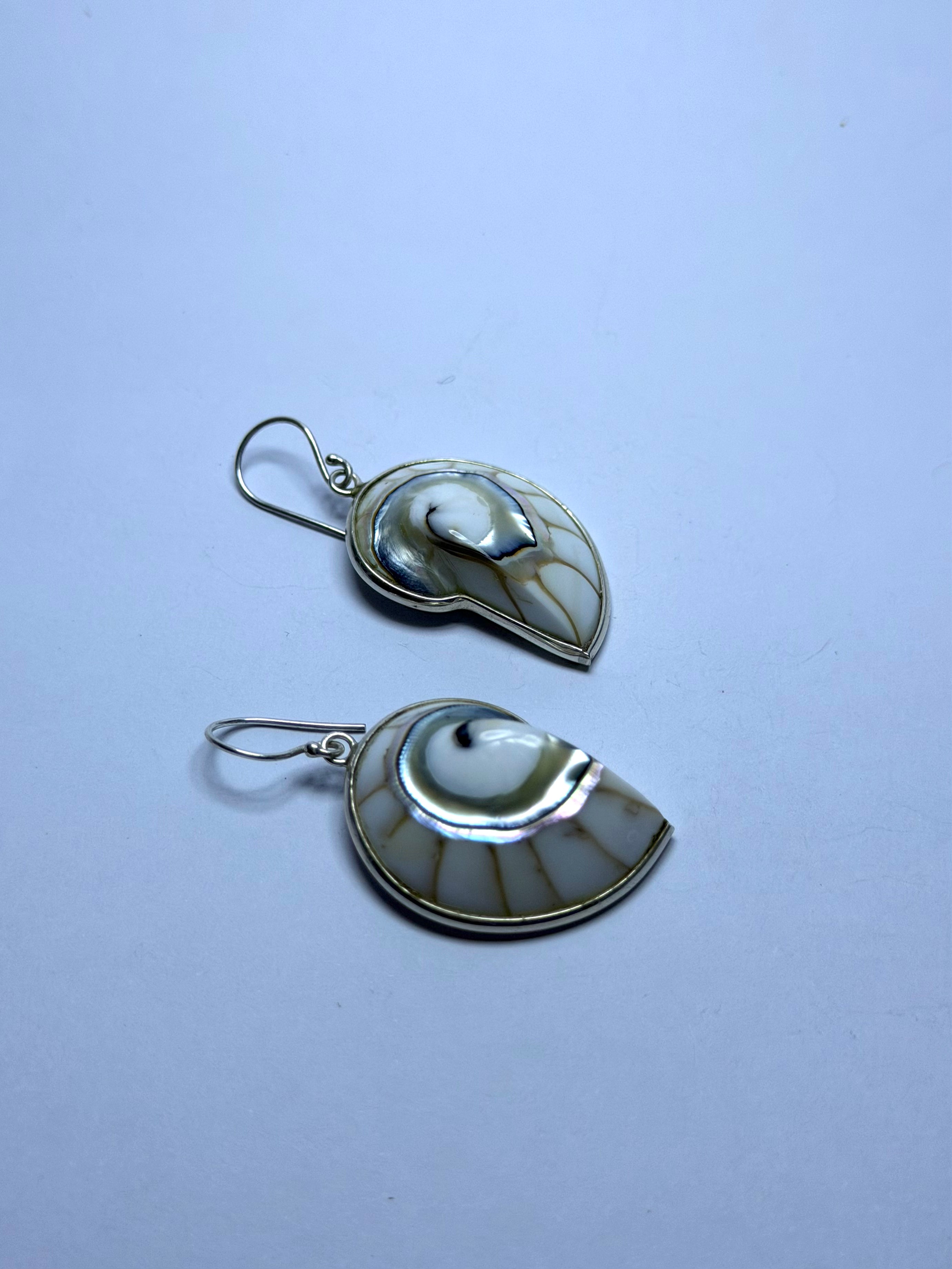 Shell White Earrings