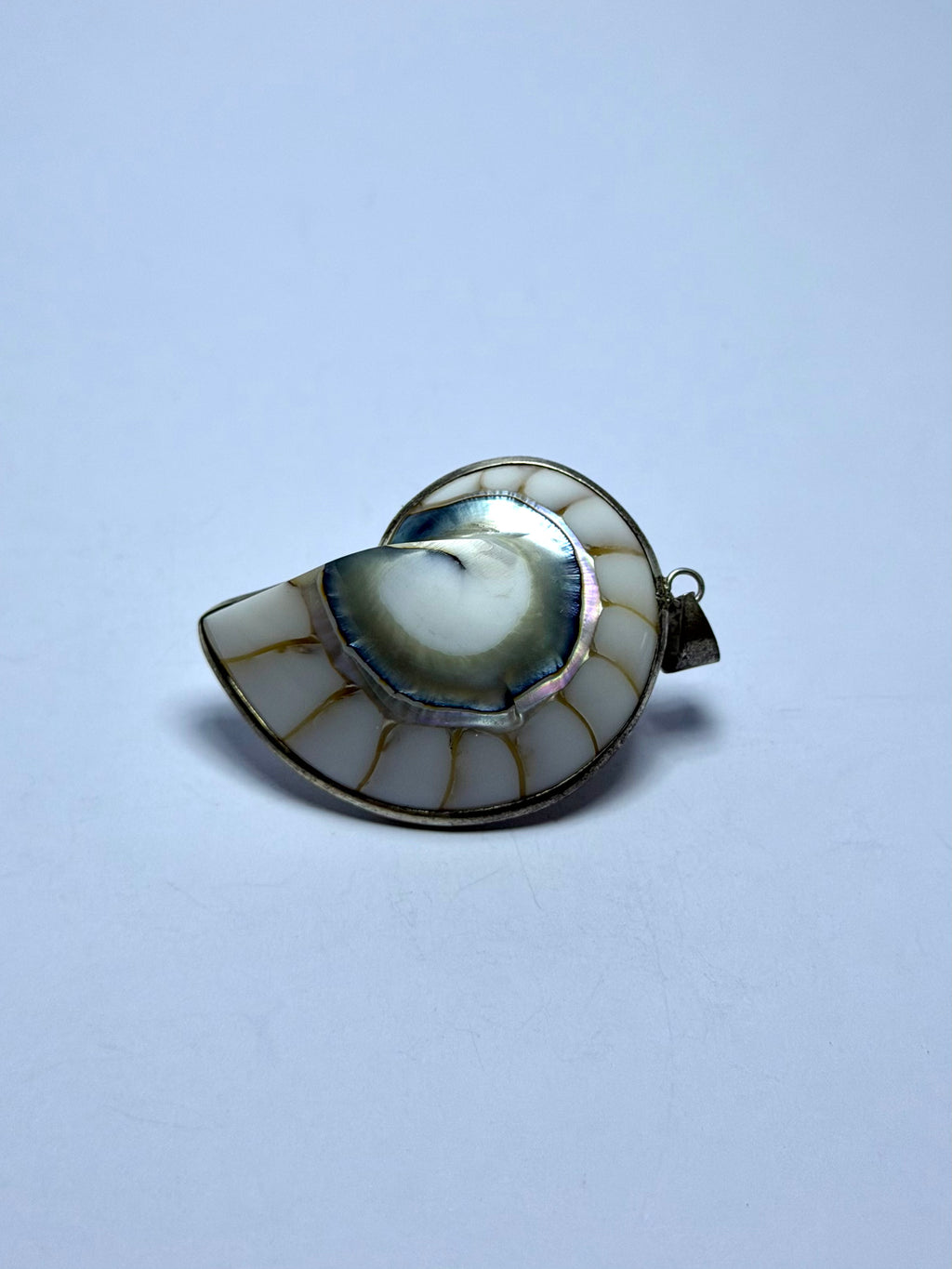 Shell White Pendant
