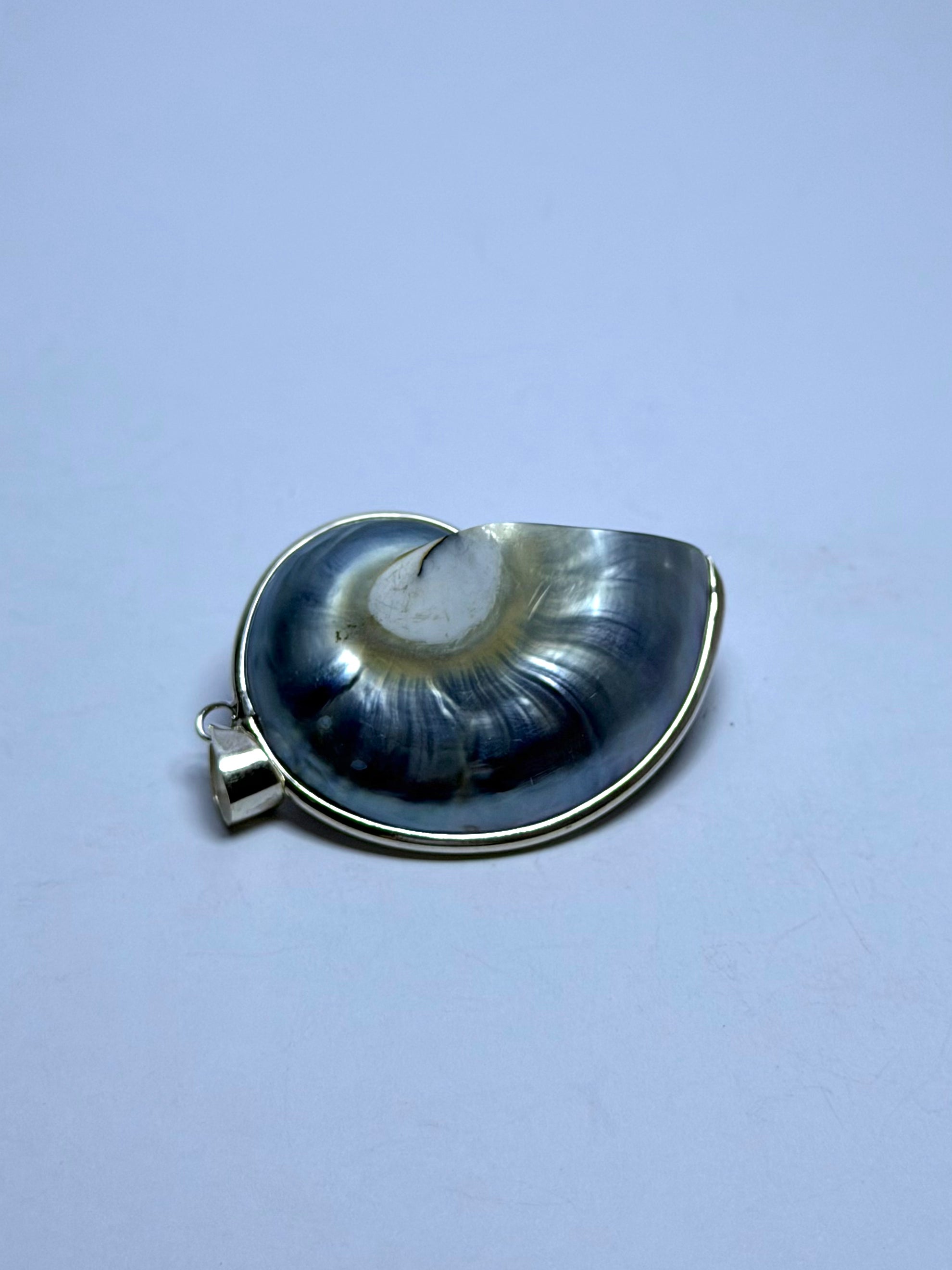 Shell Pearlescent Pendant