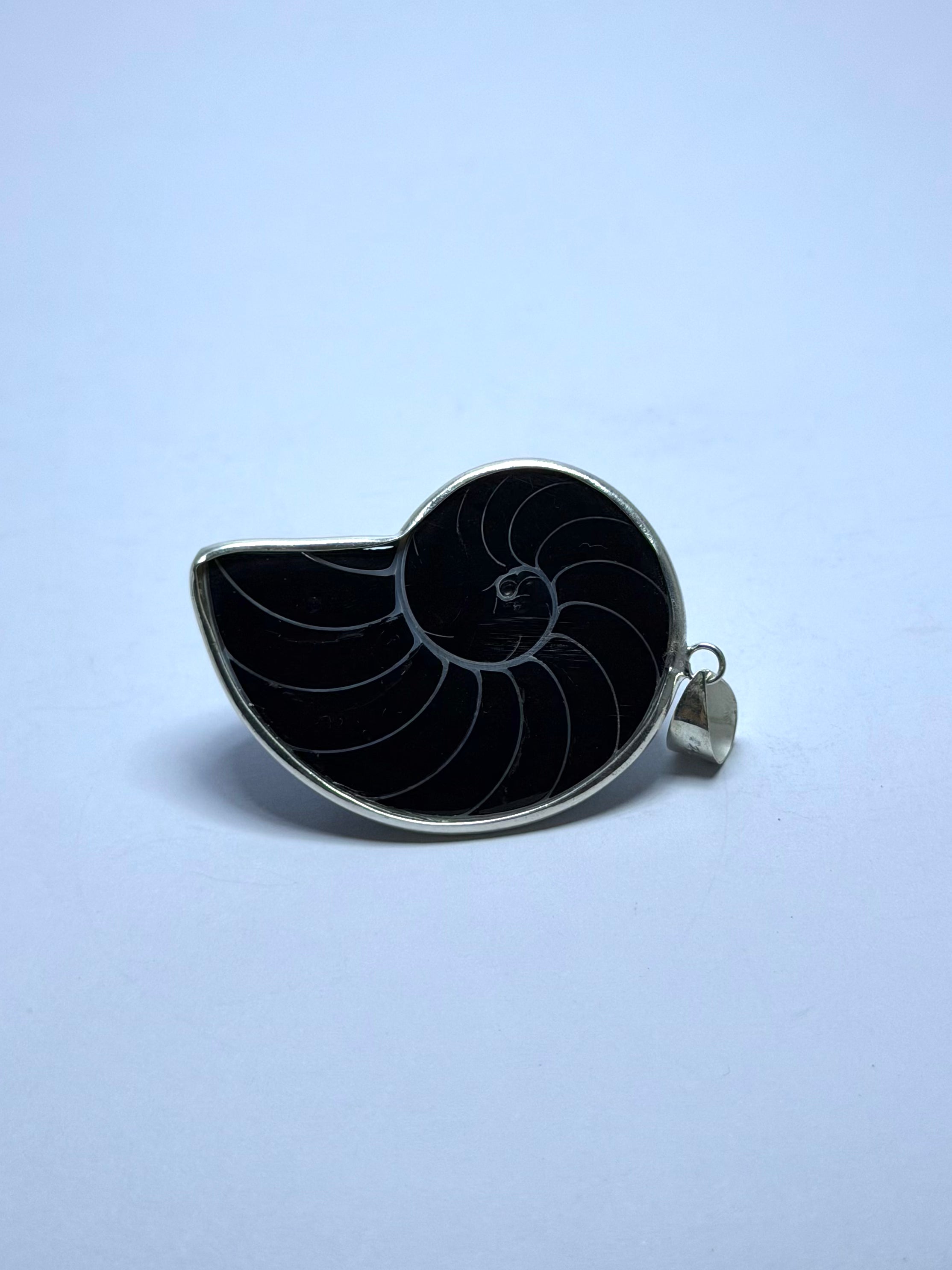 Shell Pearlescent Pendant