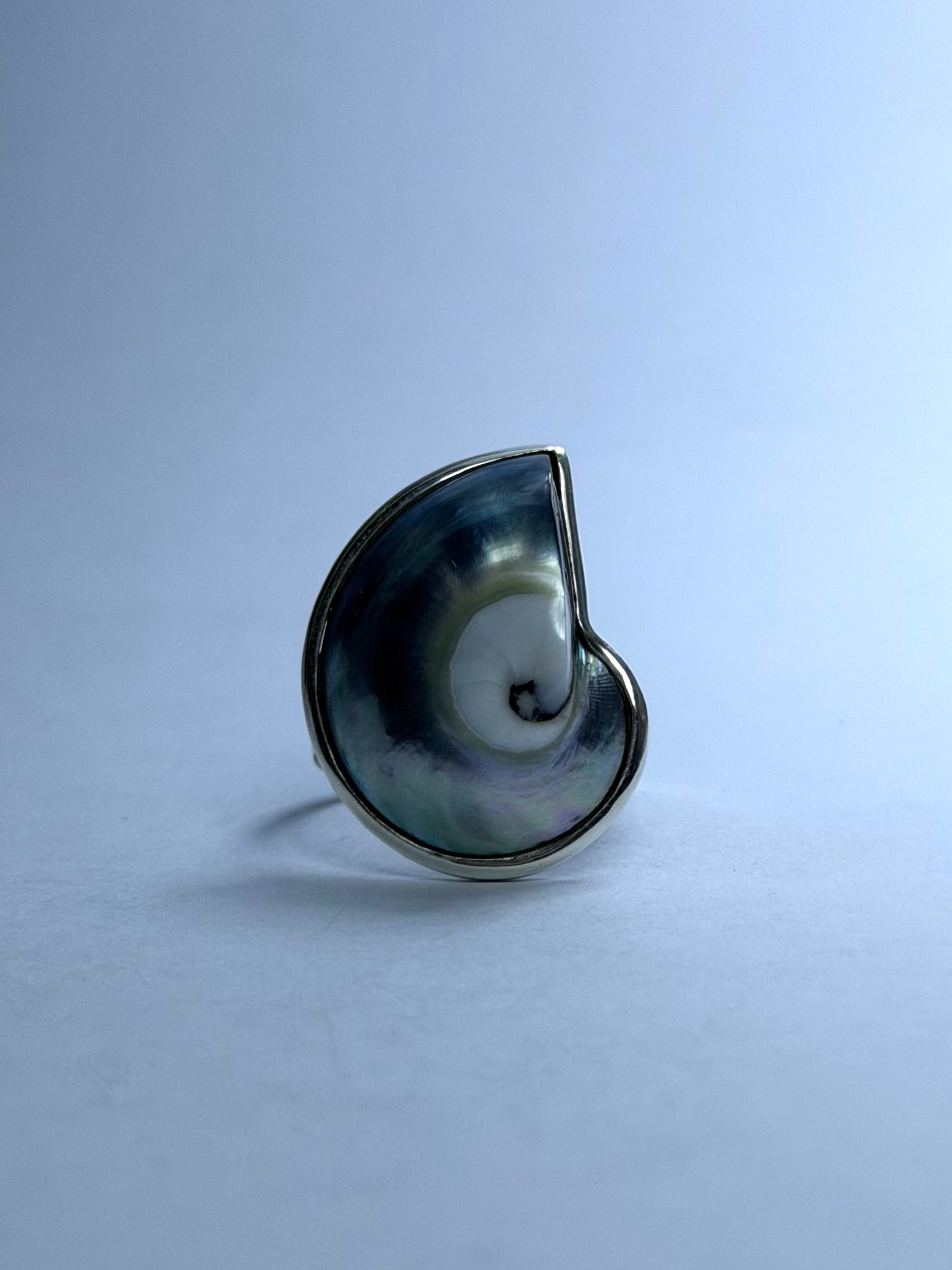 Shell Pearlescent Ring