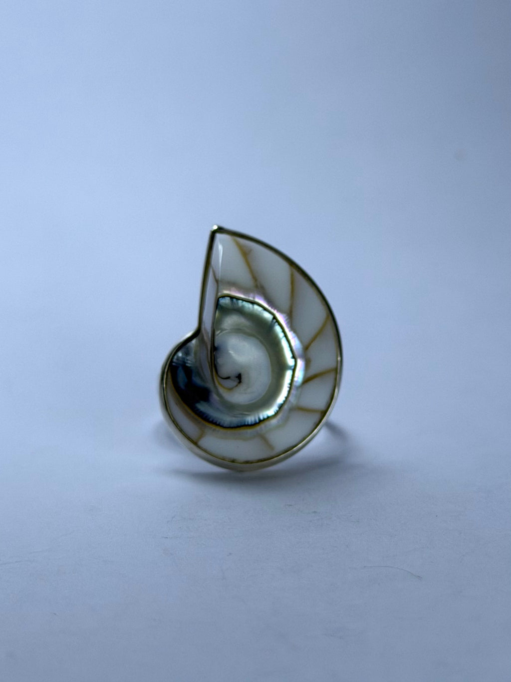 Shell White Ring