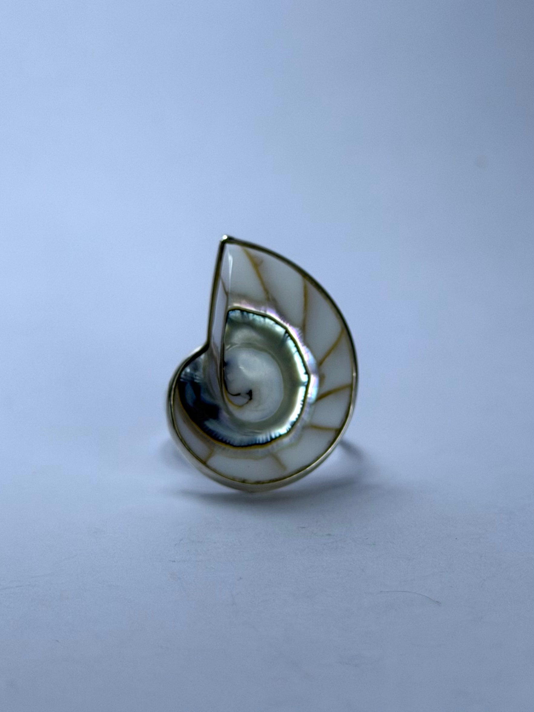 Shell White Ring