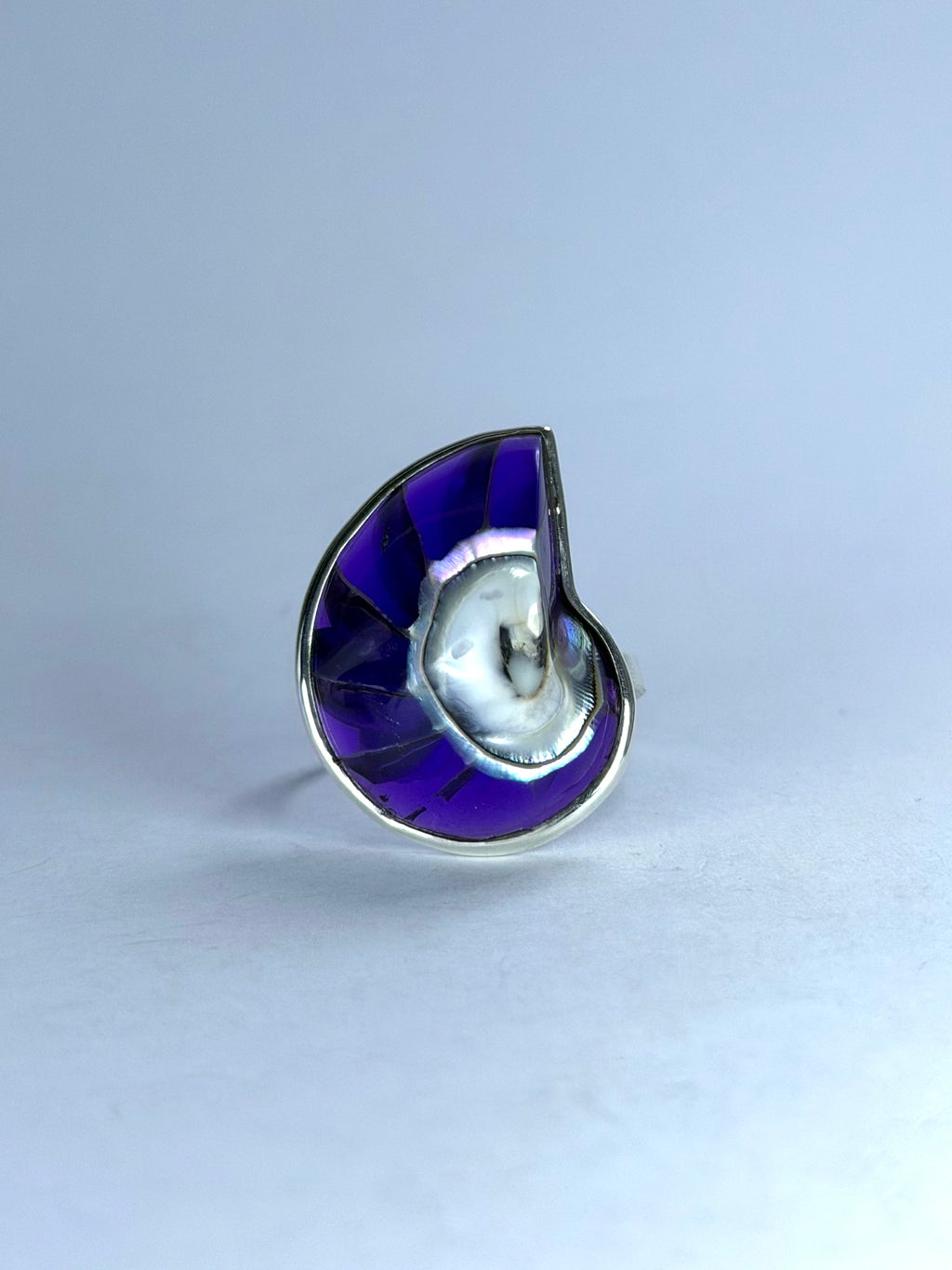 Shell Purple Ring