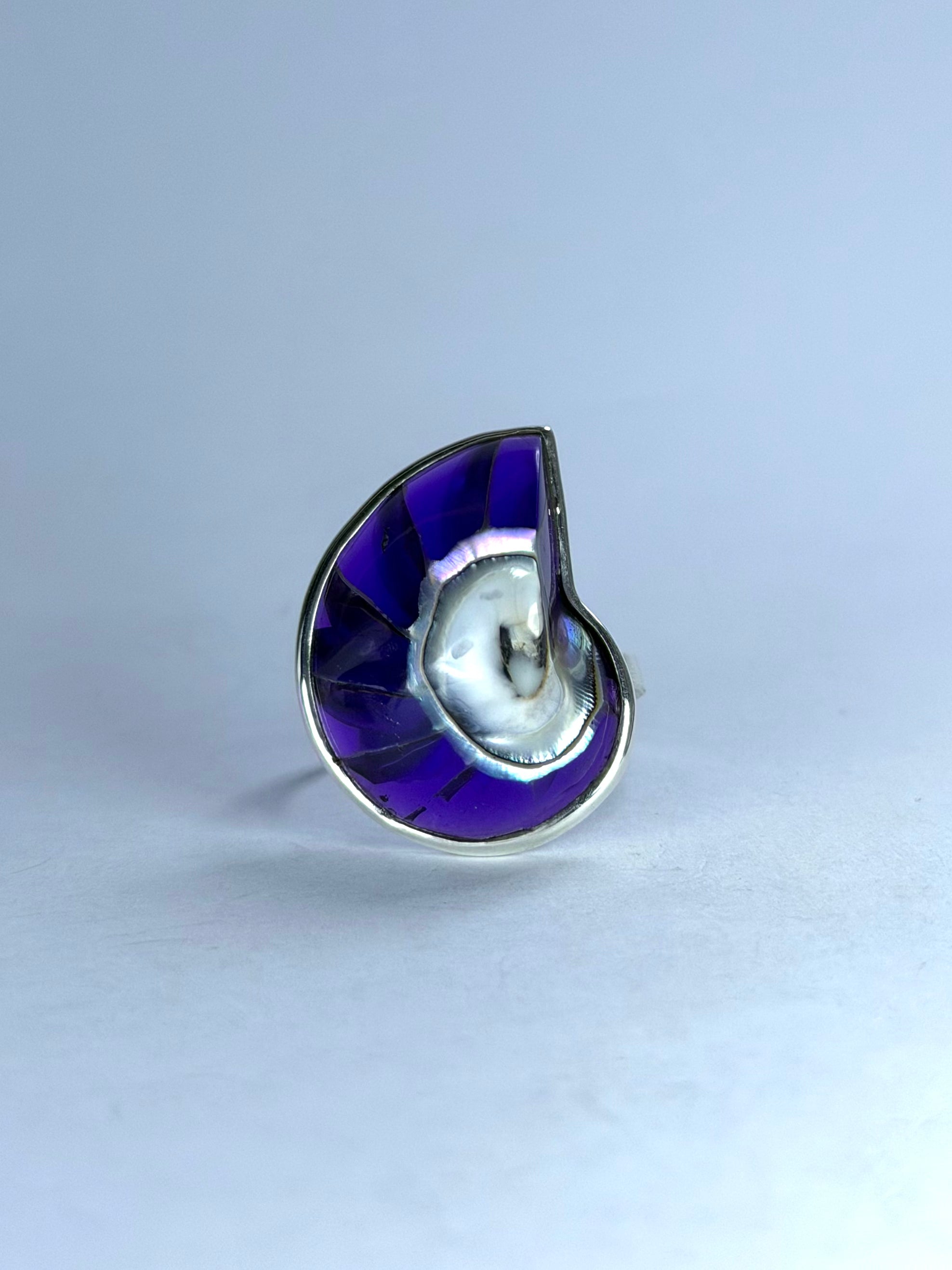 Shell Purple Ring