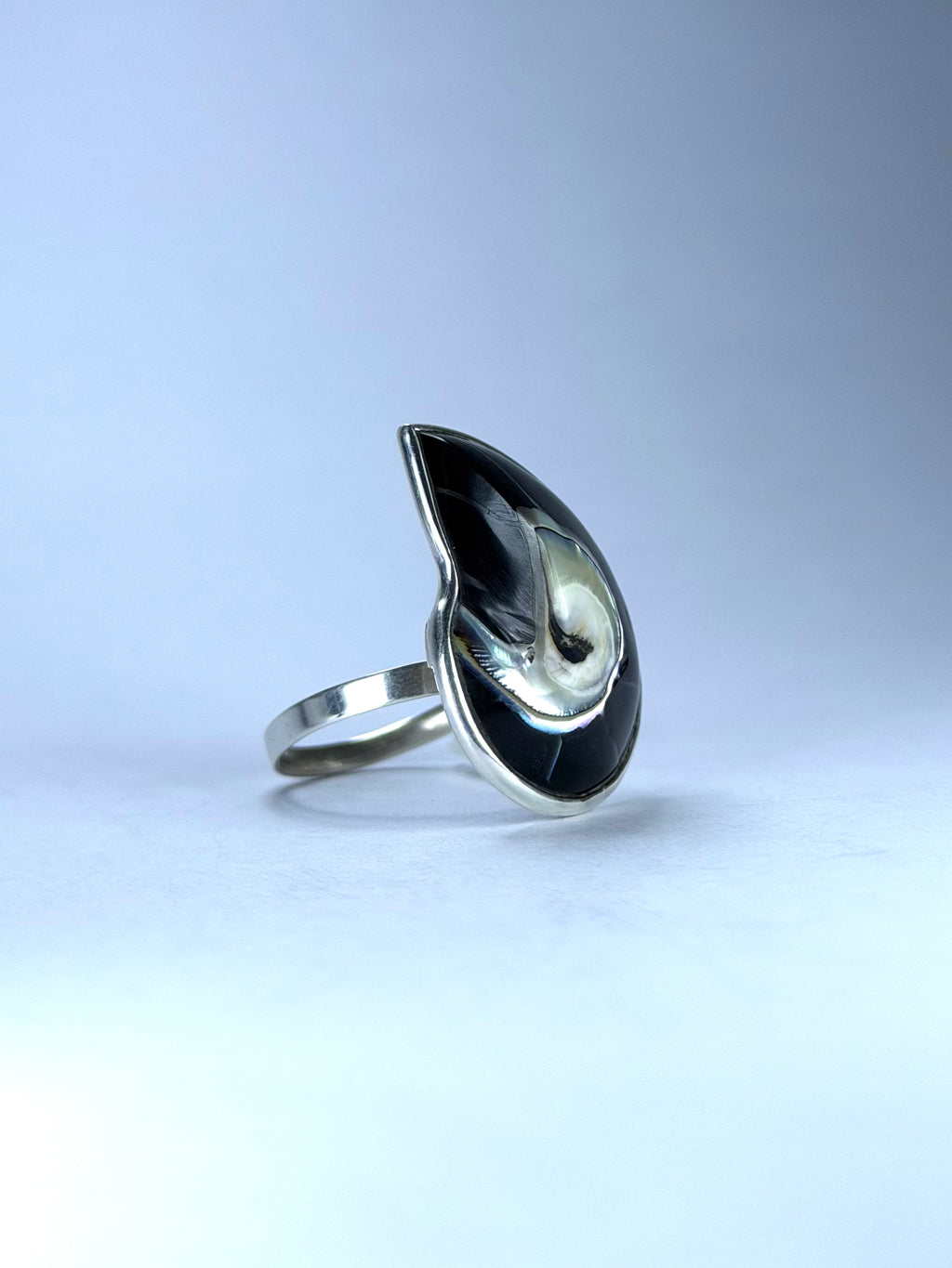Shell Black Ring