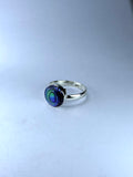 Paua Abalone single Ring