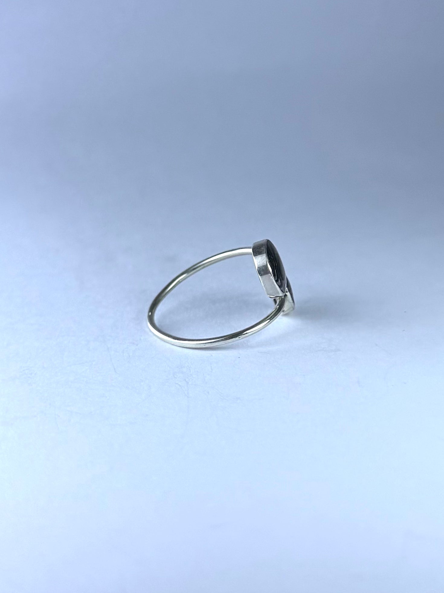 Paua Abalone double Ring