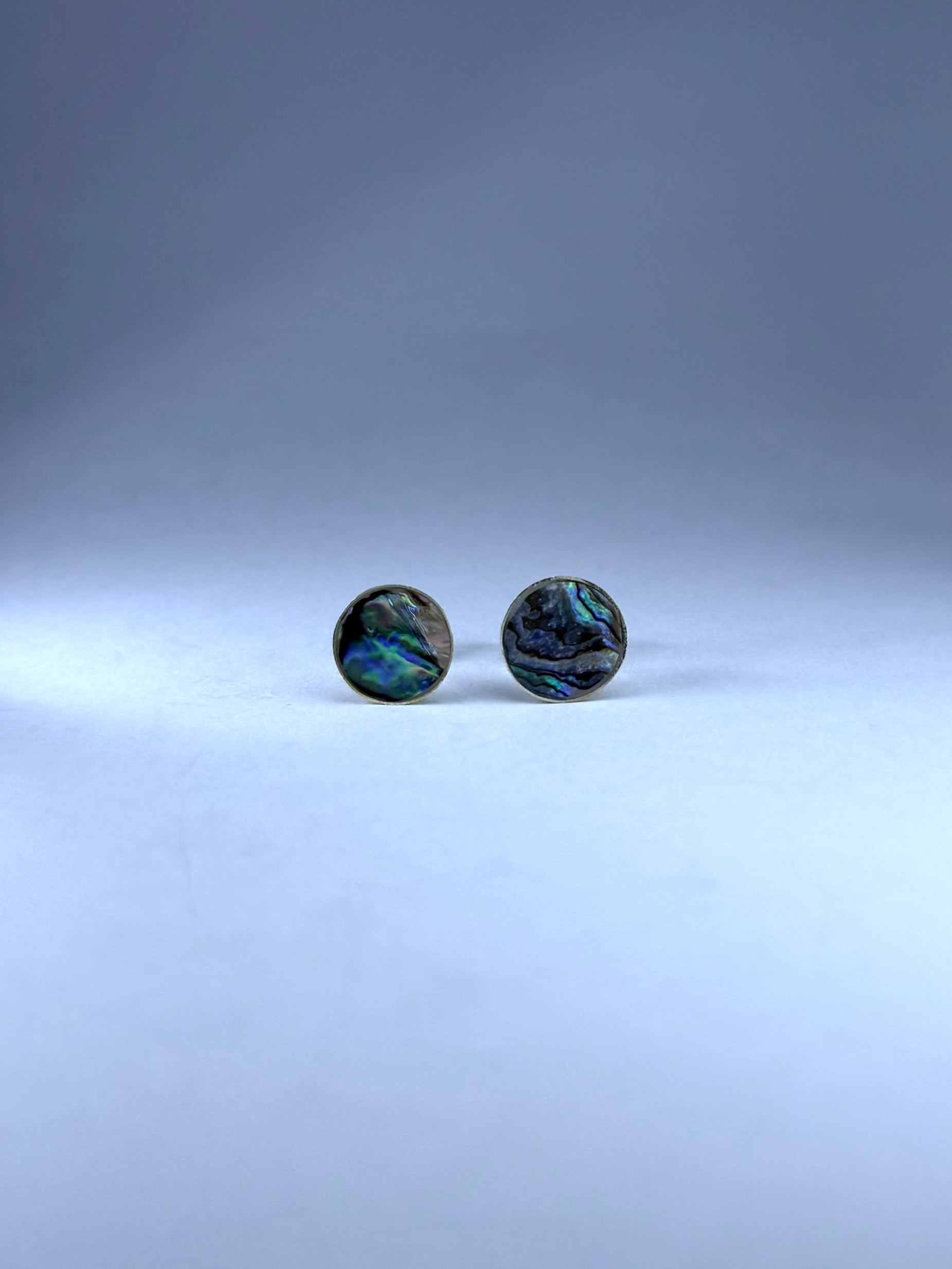 Paua Abalone Earrings v1