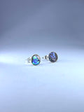 Paua Abalone Earrings v1