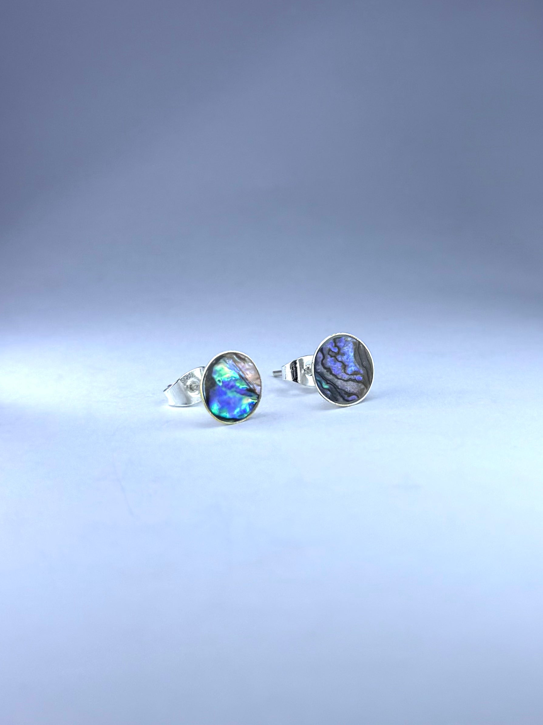 Paua Abalone Earrings v1