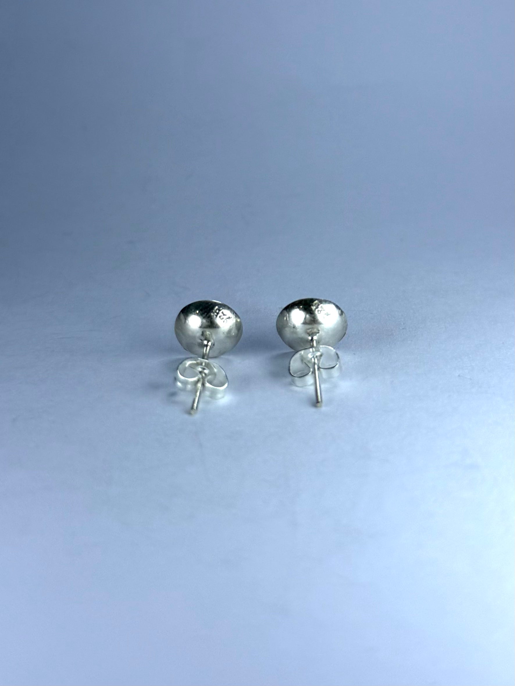 Paua Abalone Earrings v1
