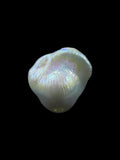 Natural baroque pearl — Sribnyak Baroque Pearls, hand-selected in Bali
