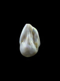Natural baroque pearl — Sribnyak Baroque Pearls, hand-selected in Bali