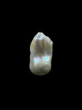 Natural baroque pearl — Sribnyak Baroque Pearls, hand-selected in Bali