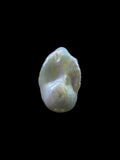 Natural baroque pearl — Sribnyak Baroque Pearls, hand-selected in Bali