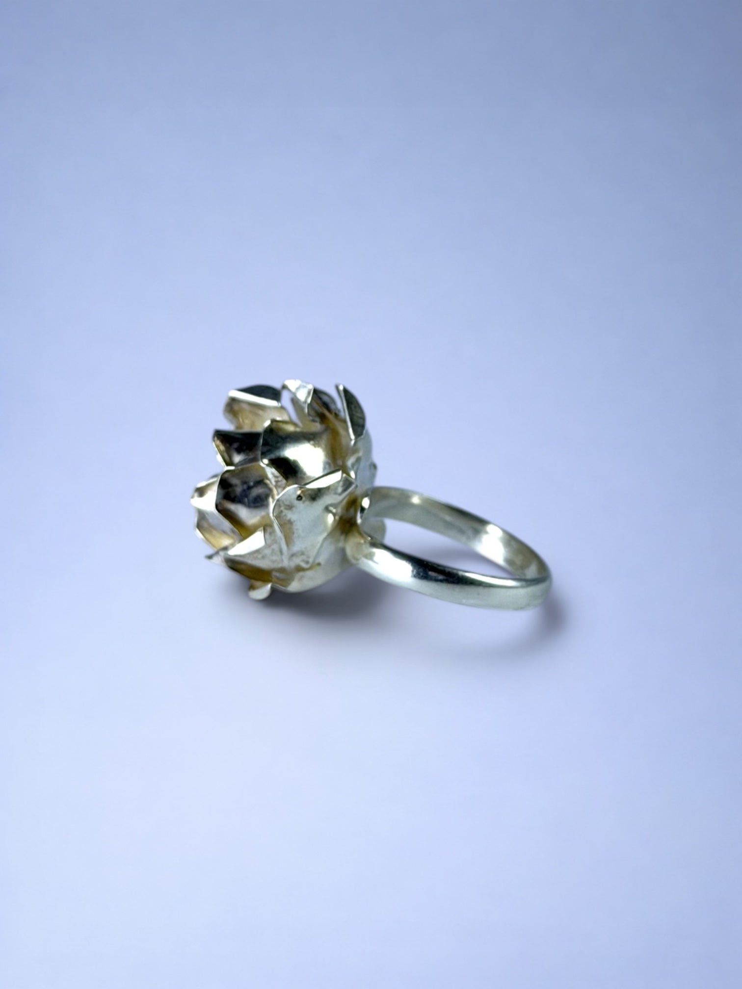 Enchanted Rose Ring